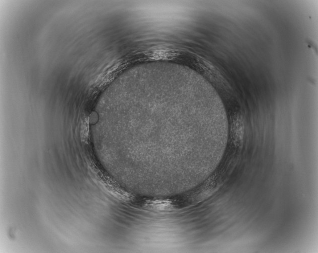 X0000102040554200808151409