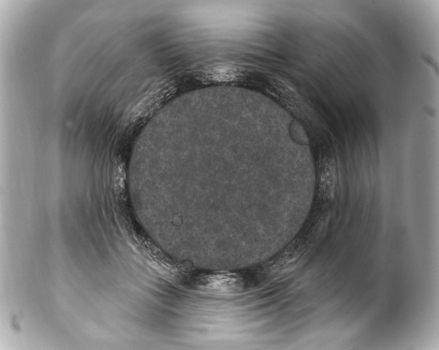 X0000102040555200808151409