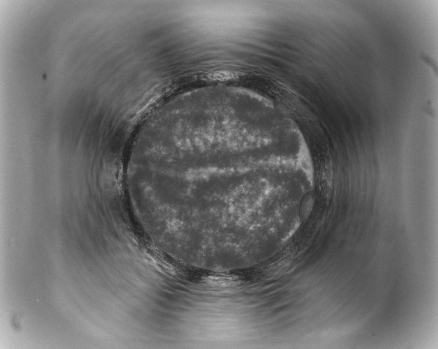 X0000102040556200808151409