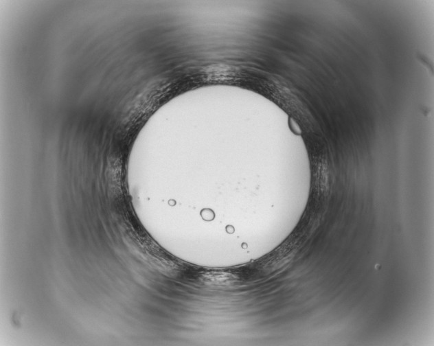 X0000102040557200808151409