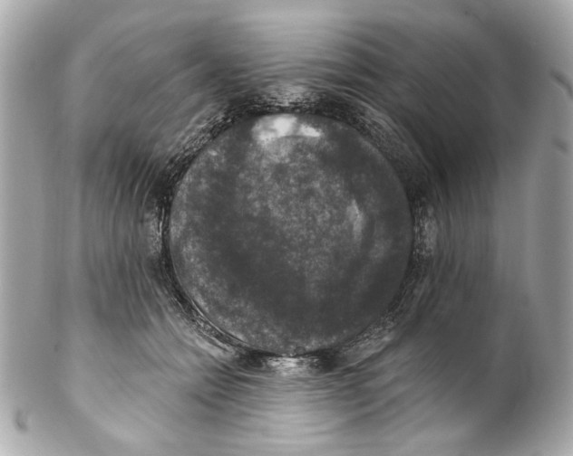 X0000102040558200808151409