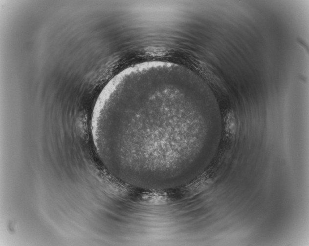 X0000102040559200808151409