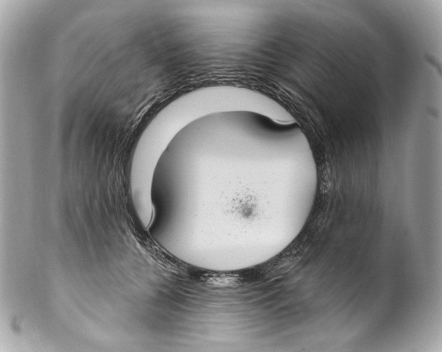 X0000102040560200808151409