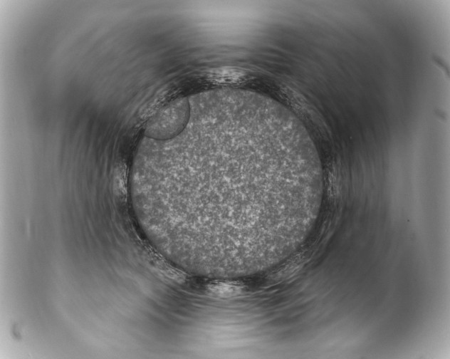 X0000102040561200808151409