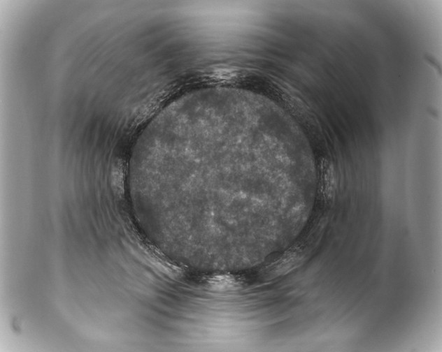 X0000102040562200808151409