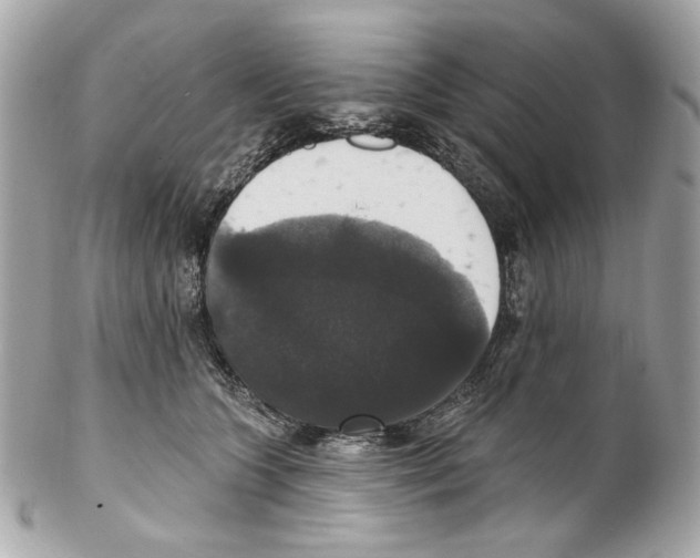 X0000102040563200808151409