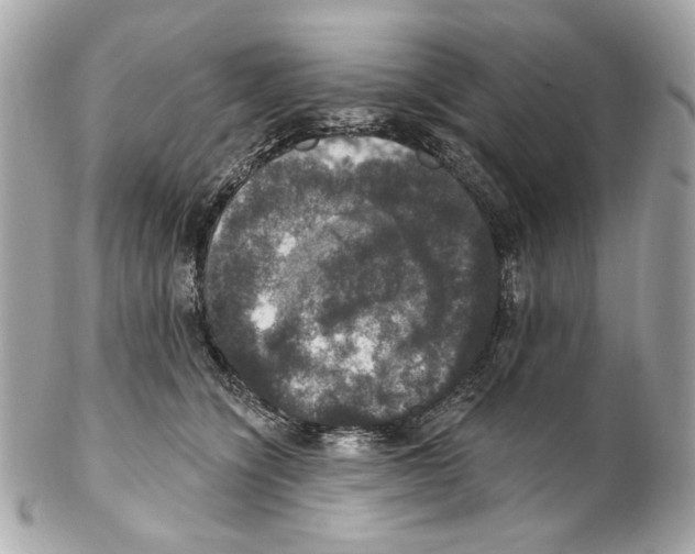 X0000102040564200808151409