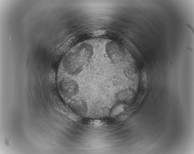 X0000102040565200808151409