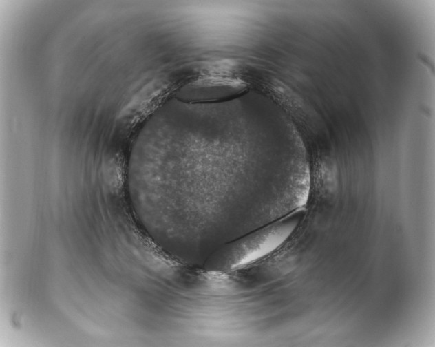 X0000102040566200808151409