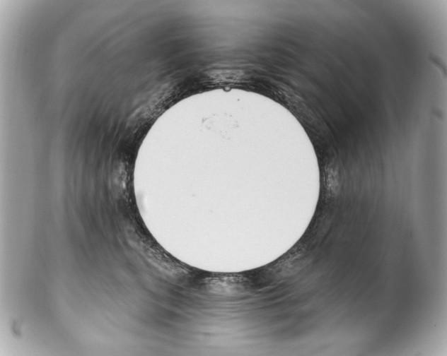 X0000102040567200808151409
