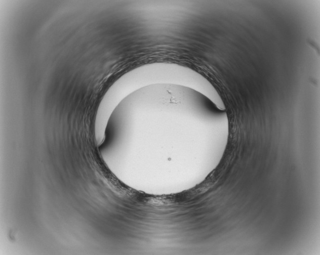 X0000102040568200808151409