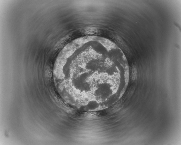 X0000102040569200808151409