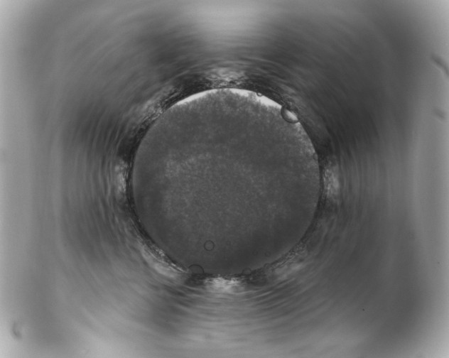X0000102040570200808151409