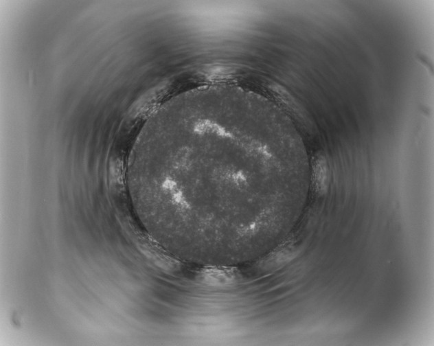 X0000102040571200808151409