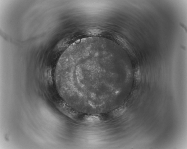 X0000102040572200808151409