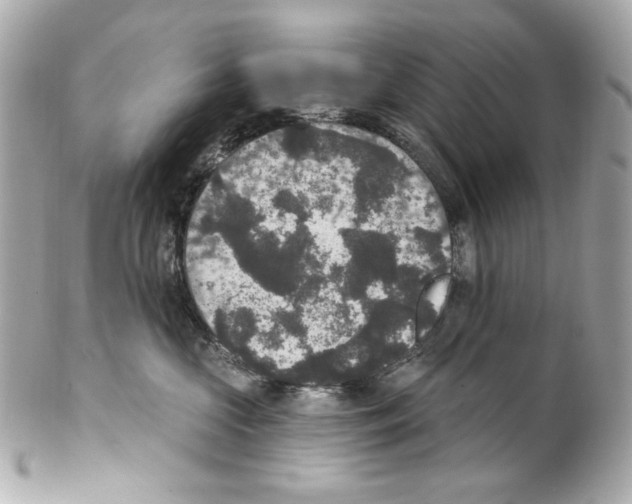 X0000102040573200808151409