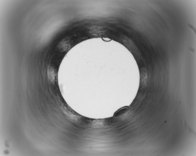 X0000102040574200808151409