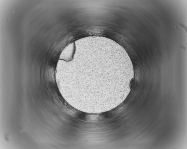 X0000102040575200808151409
