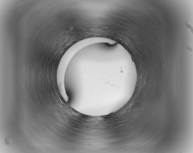X0000102040576200808151409