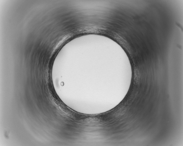 X0000102040578200808151409