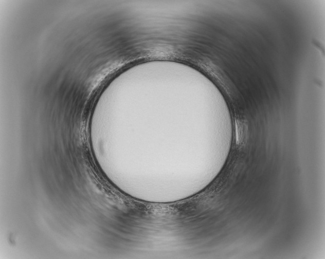 X0000102040579200808151409