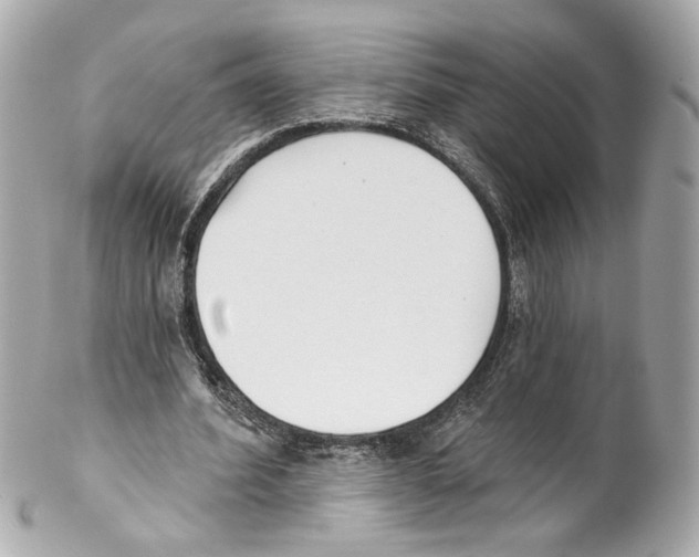 X0000102040580200808151409