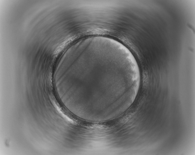 X0000102040581200808151409