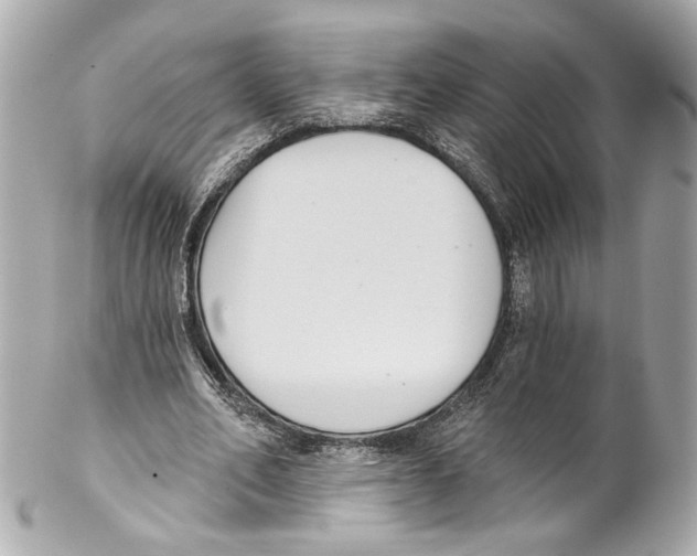 X0000102040582200808151409
