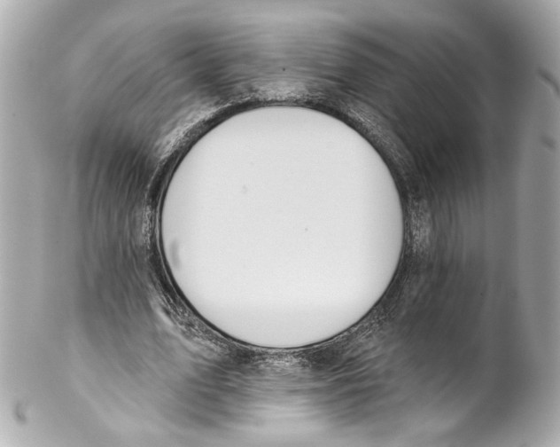 X0000102040583200808151409