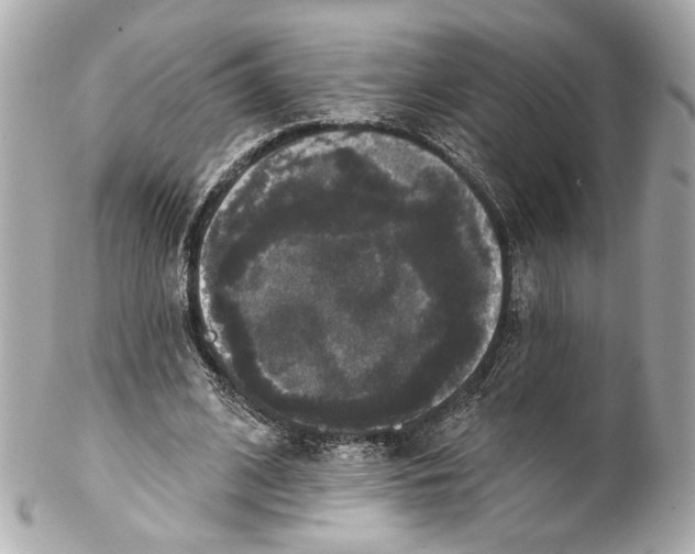 X0000102040584200808151409