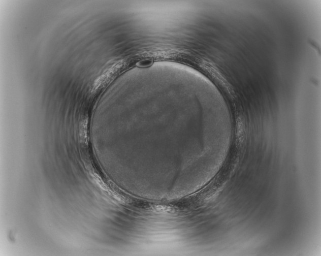 X0000102040585200808151409