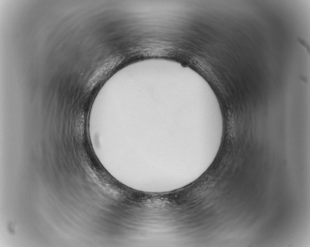 X0000102040586200808151409