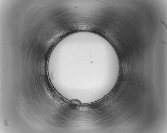 X0000102040587200808151409