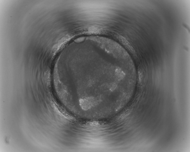 X0000102040588200808151409