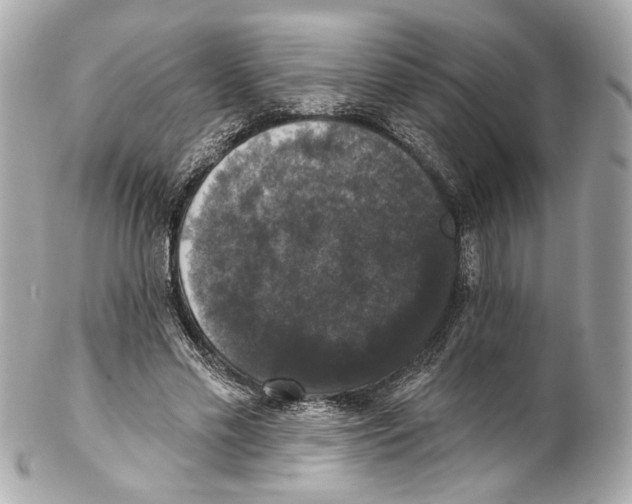 X0000102040589200808151409