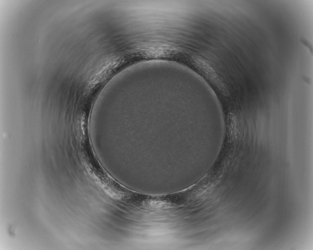 X0000102040590200808151408