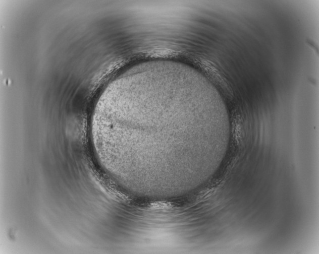 X0000102040591200808151408