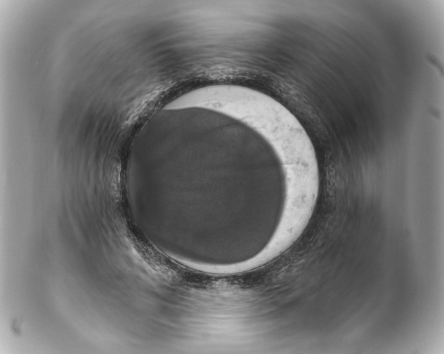 X0000102040592200808151408