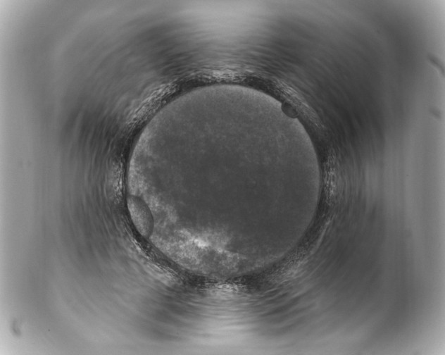 X0000102040593200808151408
