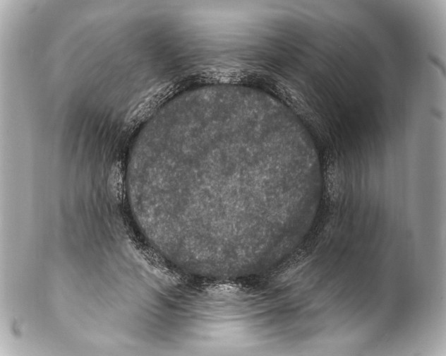 X0000102040594200808151408