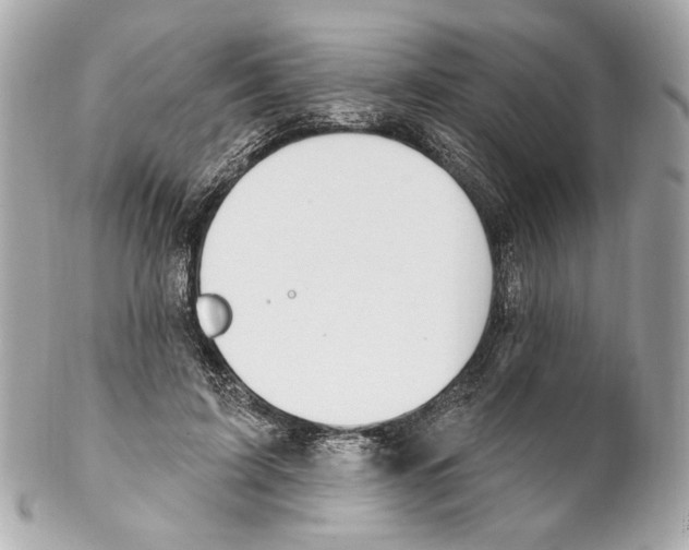 X0000102040595200808151408
