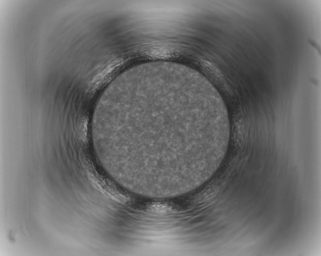 X0000102040596200808151408