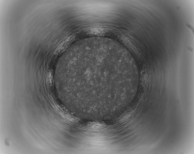 X0000102040597200808151408