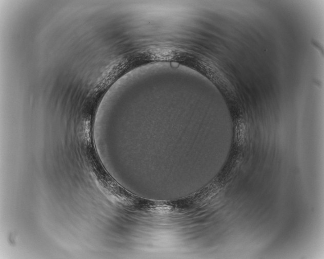 X0000102040598200808151408