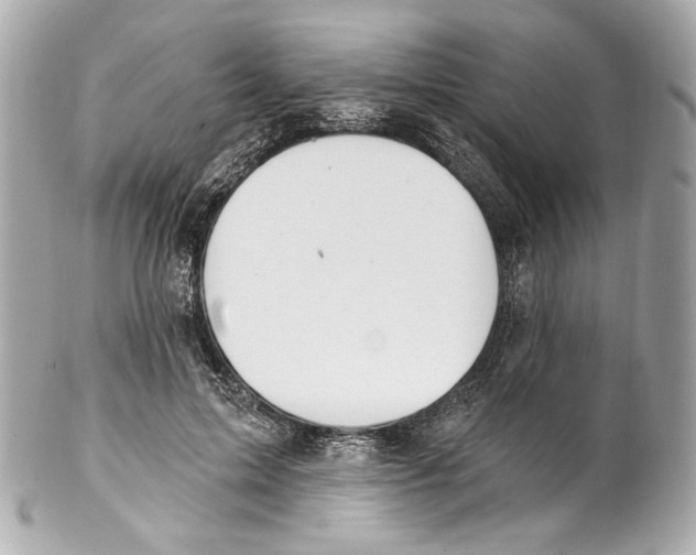 X0000102040599200808151408