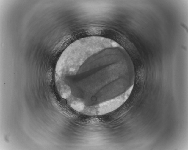 X0000102040600200808151408
