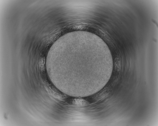 X0000102040605200808151408