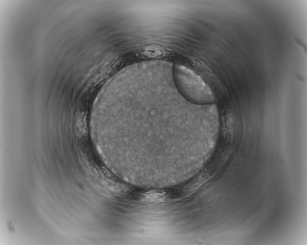 X0000102040606200808151408
