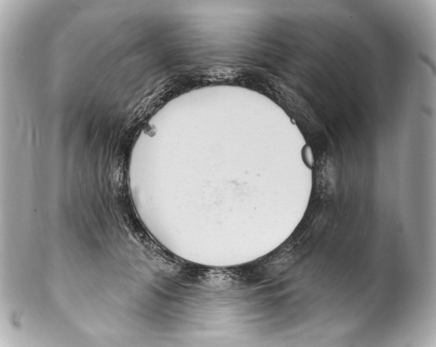 X0000102040608200808151408