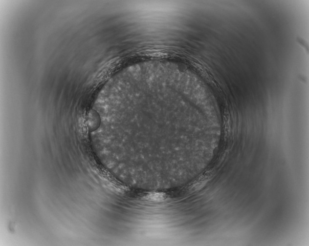 X0000102040609200808151408